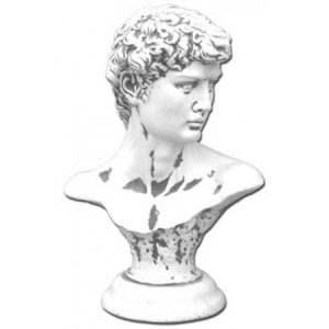 Beeld van de David van Michelangelo